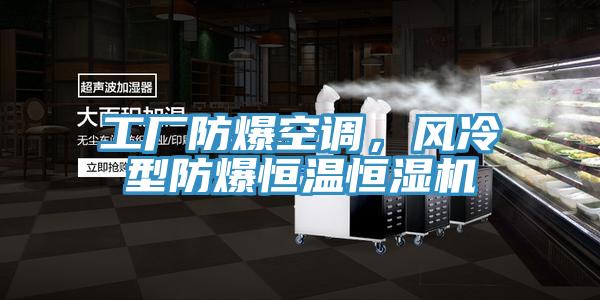 工廠防爆空調(diào)，風(fēng)冷型防爆恒溫恒濕機