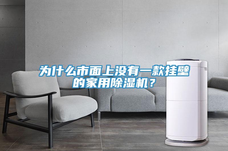 為什么市面上沒有一款掛壁的家用除濕機？