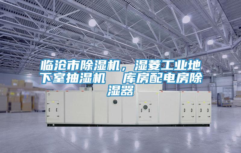 臨滄市除濕機，濕菱工業(yè)地下室抽濕機  庫房配電房除濕器