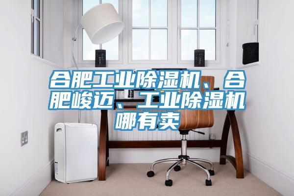 合肥工業(yè)除濕機(jī)、合肥峻邁、工業(yè)除濕機(jī)哪有賣