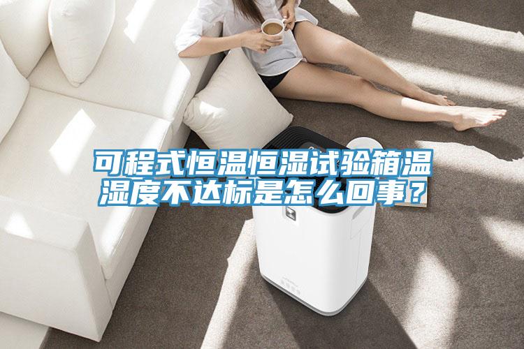可程式恒溫恒濕試驗(yàn)箱溫濕度不達(dá)標(biāo)是怎么回事？