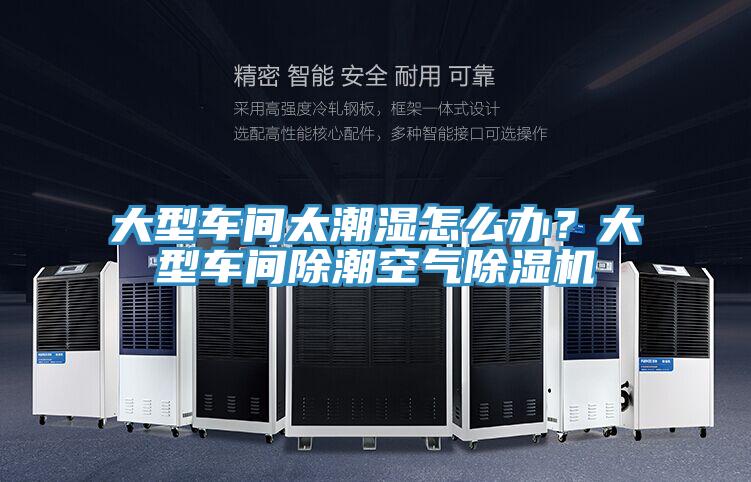 大型車(chē)間太潮濕怎么辦？大型車(chē)間除潮空氣除濕機(jī)