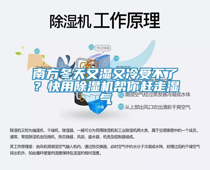 南方冬天又濕又冷受不了？快用除濕機幫你趕走濕氣