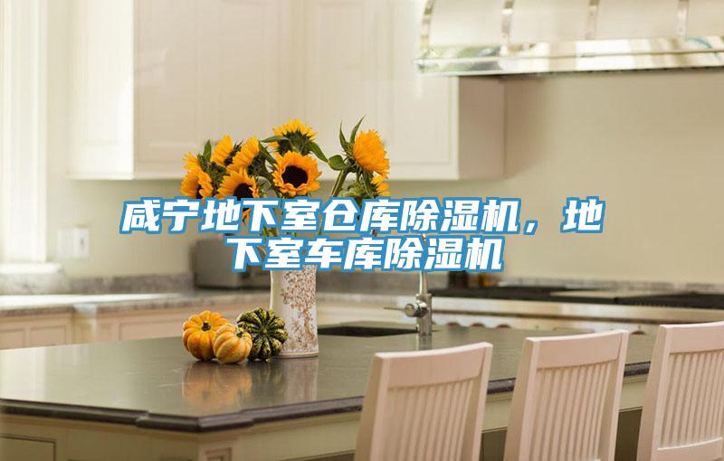 咸寧地下室倉(cāng)庫(kù)除濕機(jī)，地下室車(chē)庫(kù)除濕機(jī)