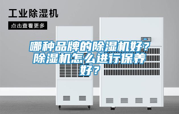 哪種品牌的除濕機好？除濕機怎么進行保養(yǎng)好？