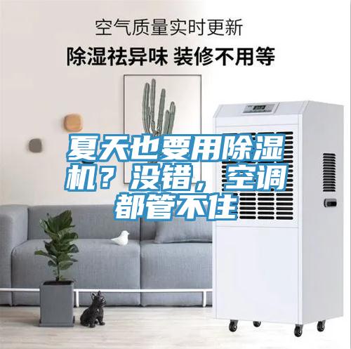 夏天也要用除濕機(jī)？沒錯(cuò)，空調(diào)都管不住