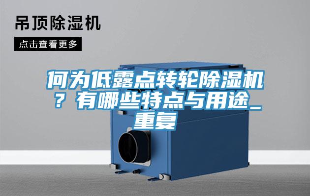 何為低露點轉(zhuǎn)輪除濕機？有哪些特點與用途_重復(fù)