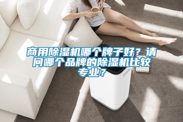 商用除濕機哪個牌子好？請問哪個品牌的除濕機比較專業(yè)？