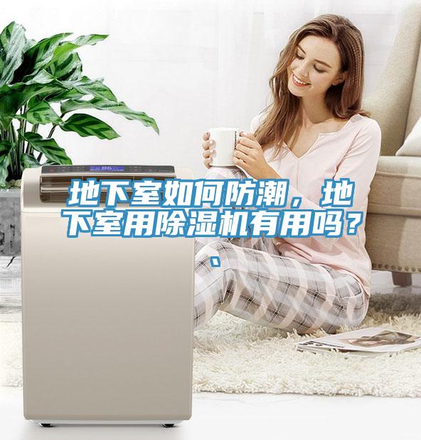 地下室如何防潮，地下室用除濕機(jī)有用嗎？、