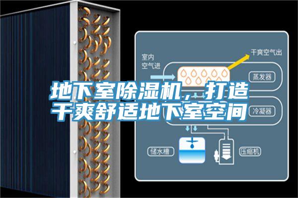 地下室除濕機(jī)，打造干爽舒適地下室空間