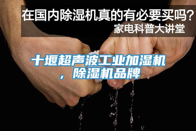 十堰超聲波工業(yè)加濕機，除濕機品牌