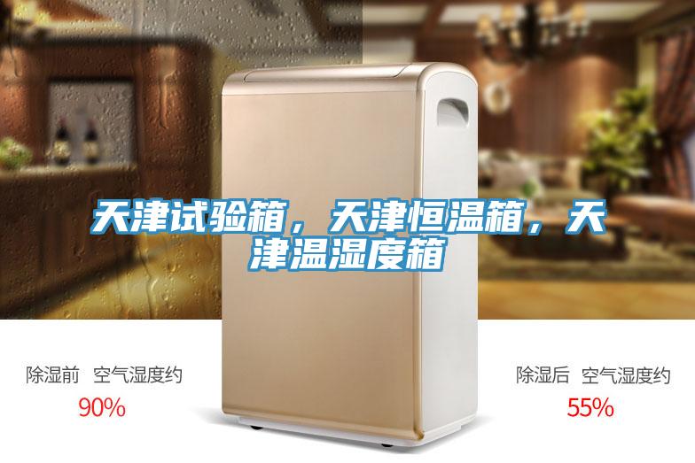 天津試驗箱，天津恒溫箱，天津溫濕度箱