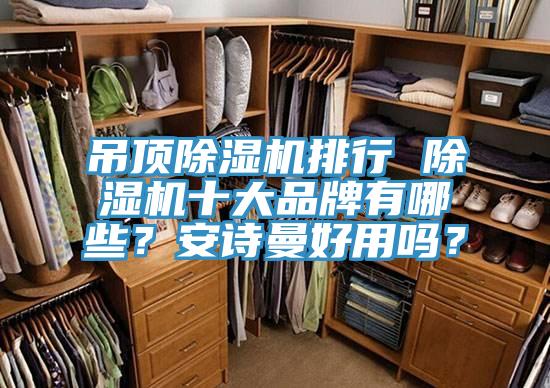 吊頂除濕機(jī)排行 除濕機(jī)十大品牌有哪些？安詩曼好用嗎？