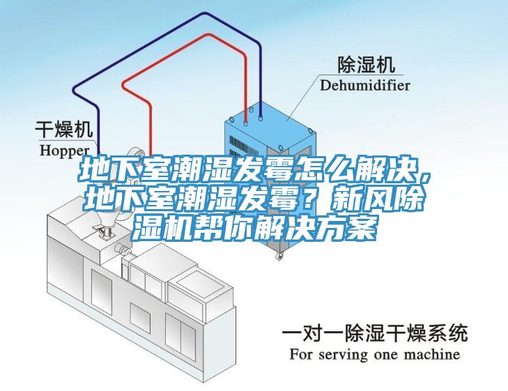 地下室潮濕發(fā)霉怎么解決，地下室潮濕發(fā)霉？新風(fēng)除濕機幫你解決方案