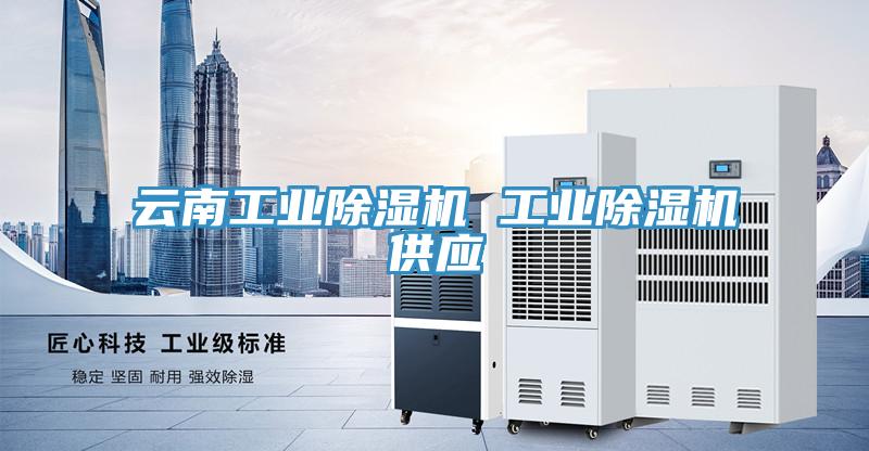 云南工業(yè)除濕機 工業(yè)除濕機供應