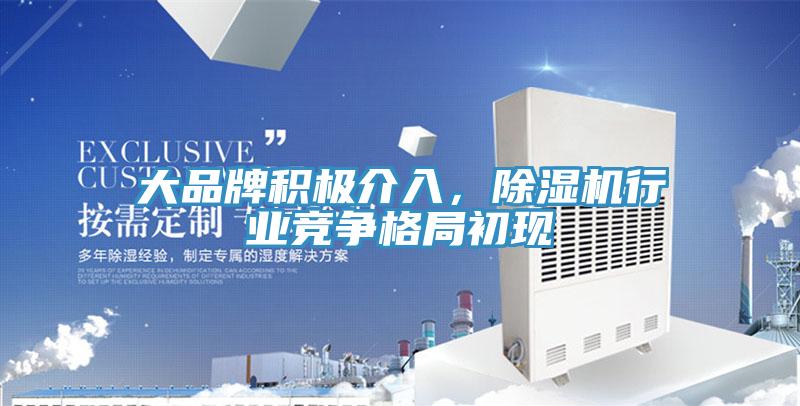 大品牌積極介入，除濕機(jī)行業(yè)競(jìng)爭(zhēng)格局初現(xiàn)