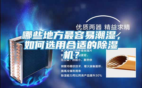 哪些地方最容易潮濕，如何選用合適的除濕機(jī)？