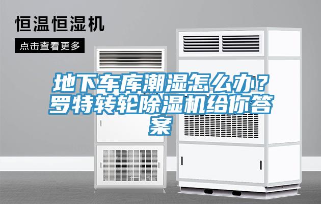 地下車庫潮濕怎么辦？羅特轉(zhuǎn)輪除濕機給你答案