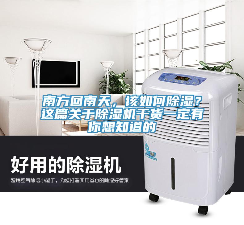 南方回南天，該如何除濕？這篇關(guān)于除濕機(jī)干貨一定有你想知道的