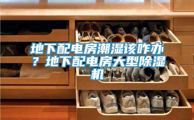 地下配電房潮濕該咋辦？地下配電房大型除濕機(jī)