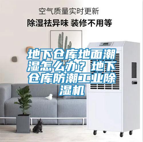 地下倉庫地面潮濕怎么辦？地下倉庫防潮工業(yè)除濕機(jī)