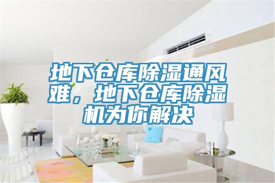 地下倉(cāng)庫(kù)除濕通風(fēng)難，地下倉(cāng)庫(kù)除濕機(jī)為你解決