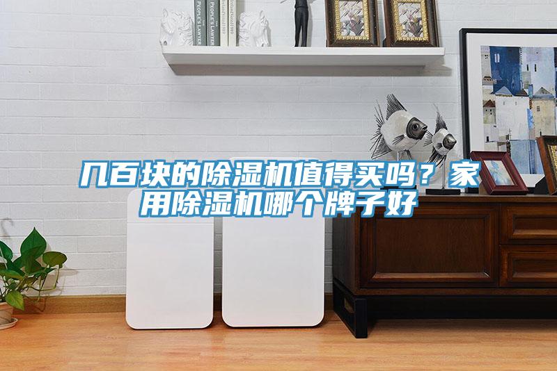 幾百塊的除濕機(jī)值得買嗎？家用除濕機(jī)哪個(gè)牌子好