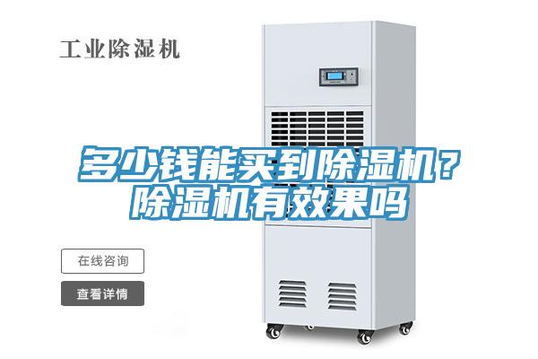 多少錢能買到除濕機？除濕機有效果嗎