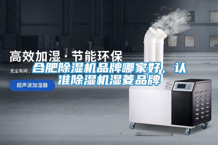 合肥除濕機(jī)品牌哪家好，認(rèn)準(zhǔn)除濕機(jī)濕菱品牌