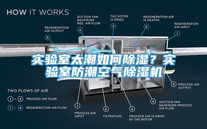 實(shí)驗(yàn)室太潮如何除濕？實(shí)驗(yàn)室防潮空氣除濕機(jī)