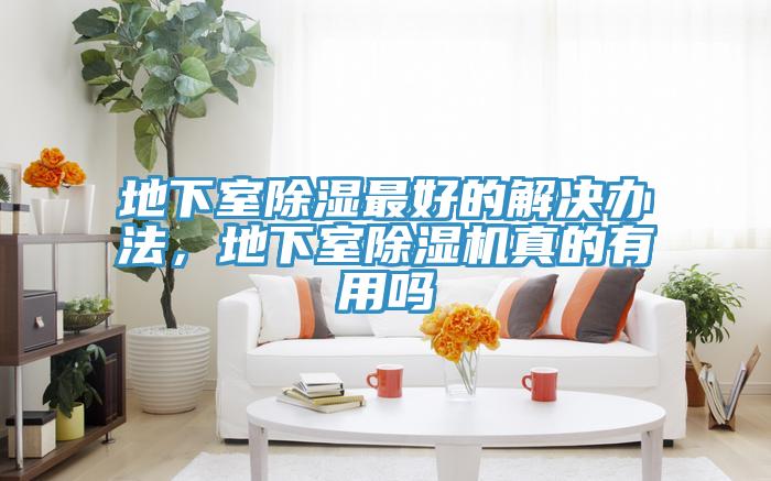 地下室除濕最好的解決辦法，地下室除濕機真的有用嗎