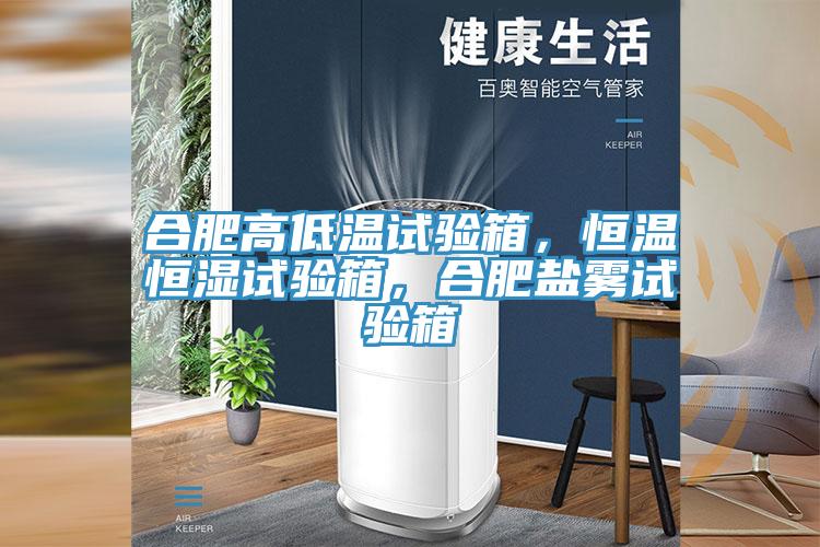 合肥高低溫試驗(yàn)箱，恒溫恒濕試驗(yàn)箱，合肥鹽霧試驗(yàn)箱