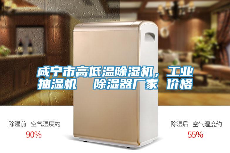 咸寧市高低溫除濕機(jī)，工業(yè)抽濕機(jī)  除濕器廠家 價(jià)格