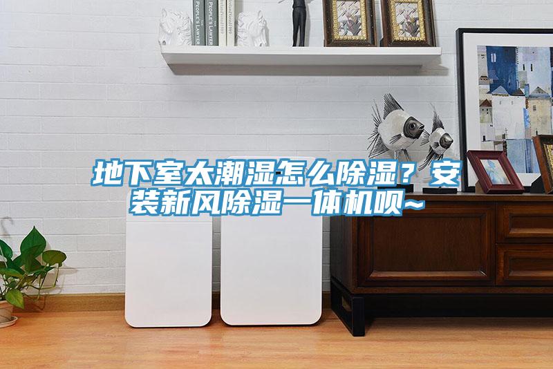 地下室太潮濕怎么除濕？安裝新風(fēng)除濕一體機(jī)唄~