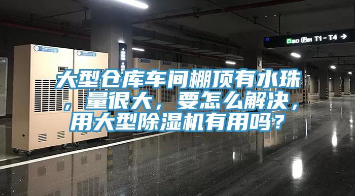 大型倉(cāng)庫車間棚頂有水珠，量很大，要怎么解決，用大型除濕機(jī)有用嗎？