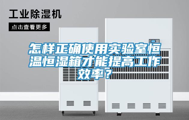 怎樣正確使用實驗室恒溫恒濕箱才能提高工作效率？