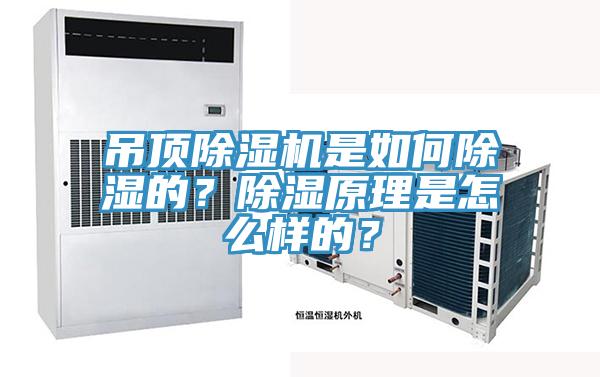 吊頂除濕機(jī)是如何除濕的？除濕原理是怎么樣的？