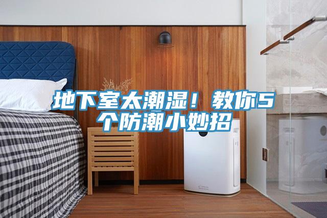 地下室太潮濕！教你5個防潮小妙招