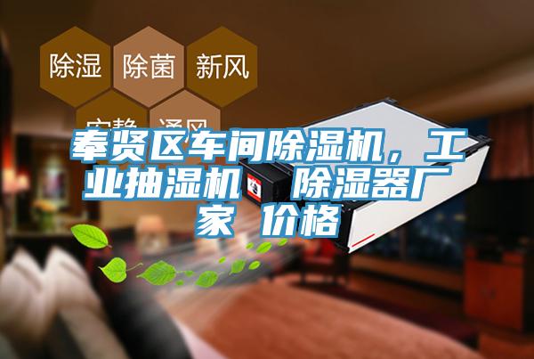 奉賢區(qū)車間除濕機，工業(yè)抽濕機  除濕器廠家 價格