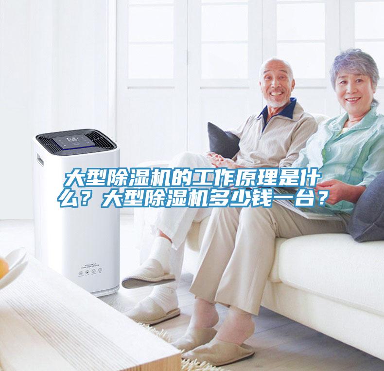 大型除濕機(jī)的工作原理是什么？大型除濕機(jī)多少錢(qián)一臺(tái)？