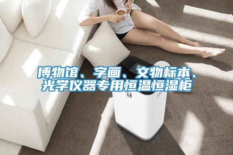 博物館、字畫、文物標本、光學(xué)儀器專用恒溫恒濕柜