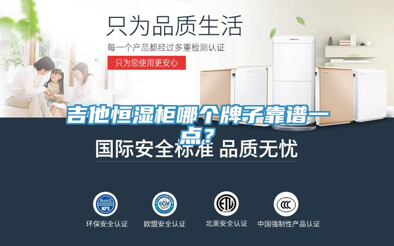 吉他恒濕柜哪個(gè)牌子靠譜一點(diǎn)？