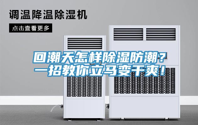 回潮天怎樣除濕防潮？一招教你立馬變干爽！