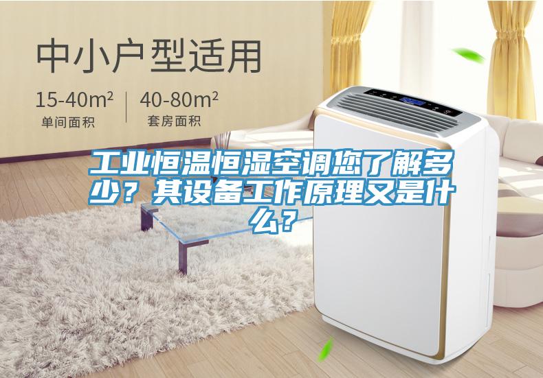 工業(yè)恒溫恒濕空調(diào)您了解多少？其設(shè)備工作原理又是什么？