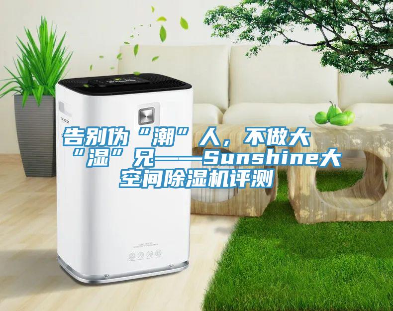 告別偽“潮”人，不做大“濕”兄——Sunshine大空間除濕機(jī)評(píng)測(cè)
