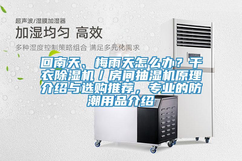 回南天、梅雨天怎么辦？干衣除濕機(jī)／房間抽濕機(jī)原理介紹與選購(gòu)?fù)扑]，專業(yè)的防潮用品介紹