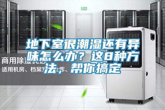 地下室很潮濕還有異味怎么辦？這8種方法，幫你搞定