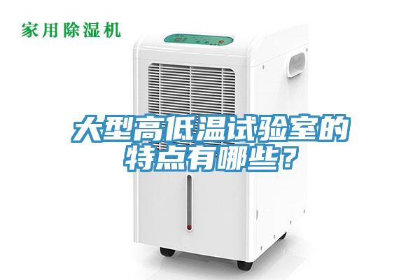 大型高低溫試驗室的特點有哪些？