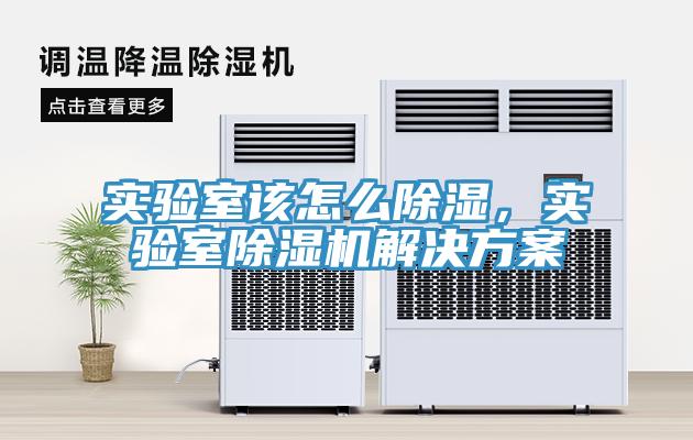 實(shí)驗(yàn)室該怎么除濕，實(shí)驗(yàn)室除濕機(jī)解決方案