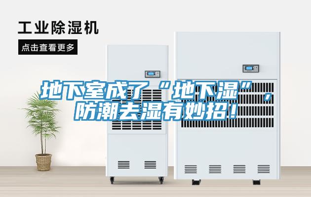 地下室成了“地下濕”，防潮去濕有妙招！